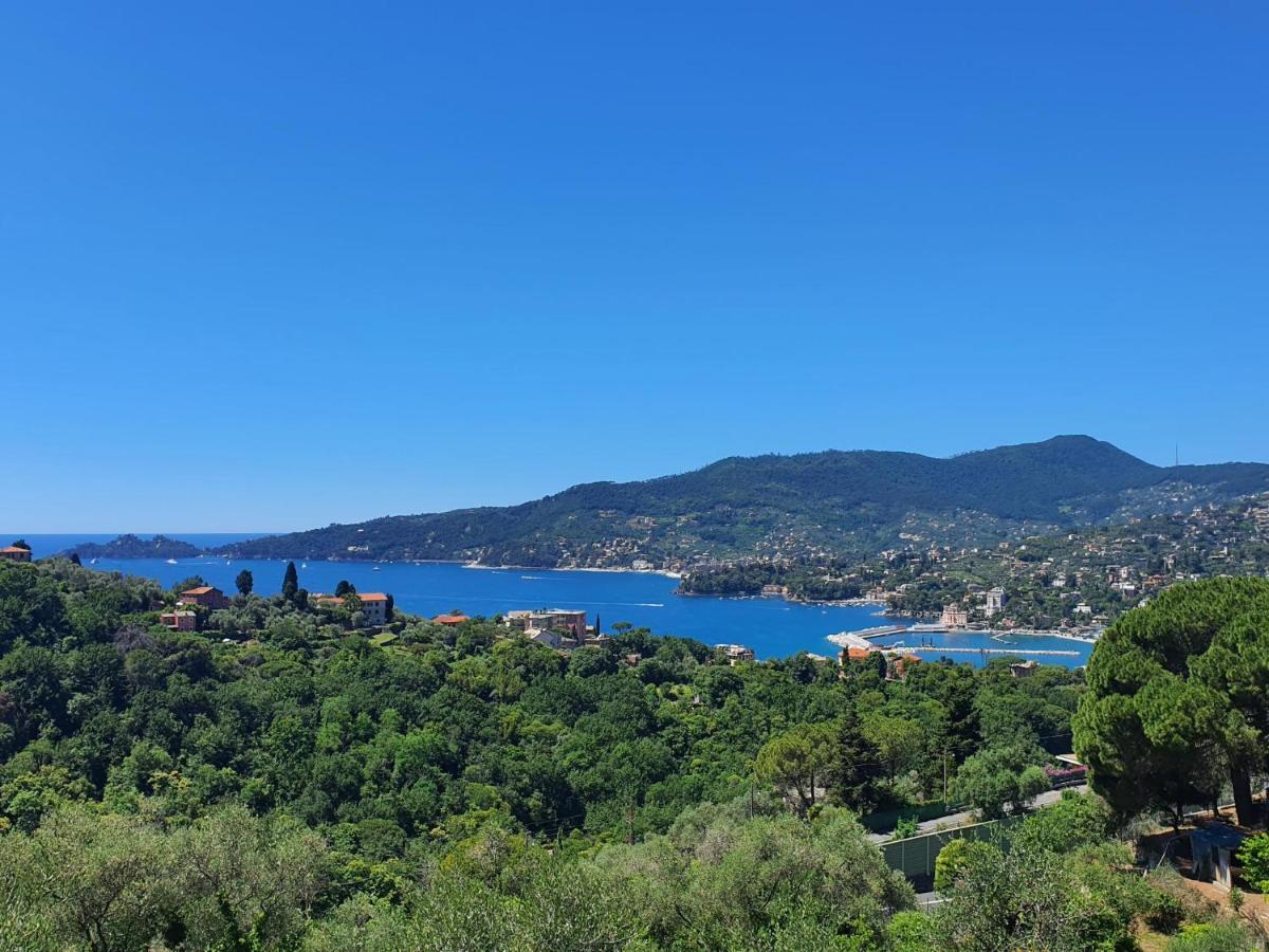 Villa Joana Дзоали Екстериор снимка